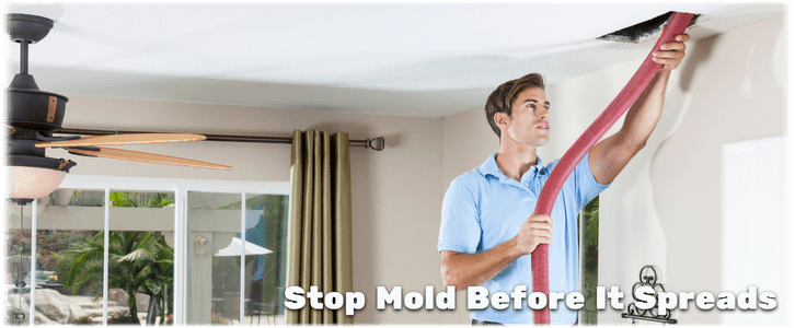 Air Duct Mold Removal in Philadelphia PA